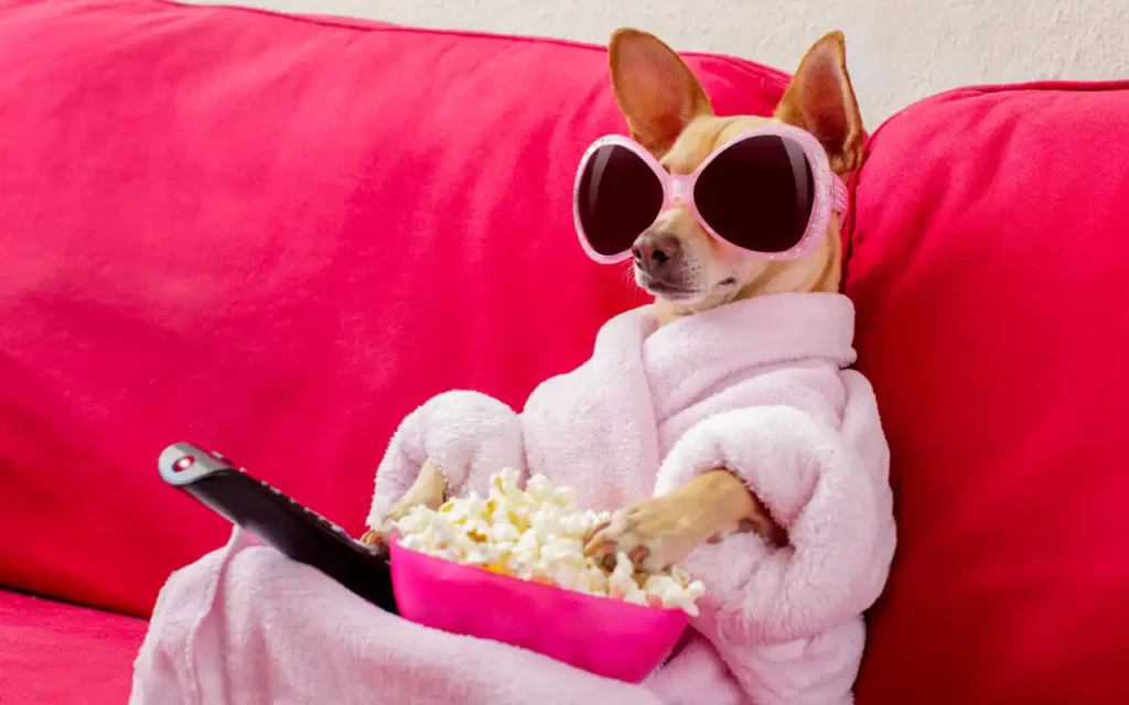 IPTV com Conteúdo para Todos Esporte Cinema em Casa e Espaço Kids